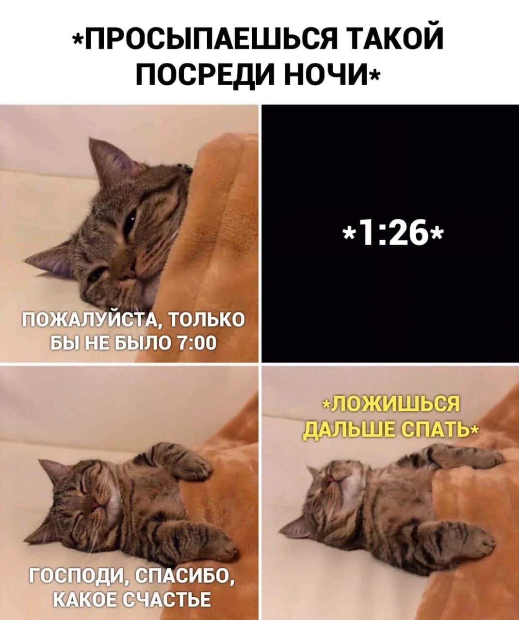 Мемы с котиками. Кот Мем. Коты мемы с надписями. Смешные мемы с котами. После ночи он проснулся