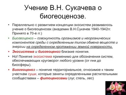 Сукачев биогеоценоз