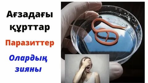 Вероника Авлав порно