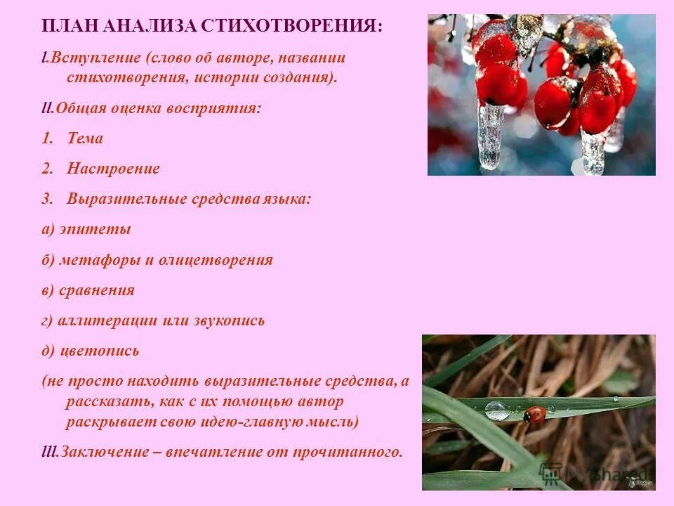 Краткий план стихотворения. План характеристики стиха. план анализа стихотворения. план анализастмзотворения. схема анализа стихотворения.
