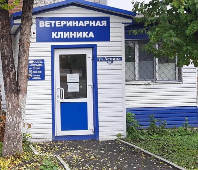 Красносельская ветеринарная лечебница, ветеринарная клиника, Верхняя Красносельс