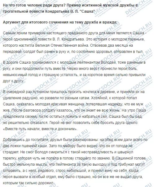 Сашка сочинения. Сочинение на тему сашка. сашка аргументы к сочинению.