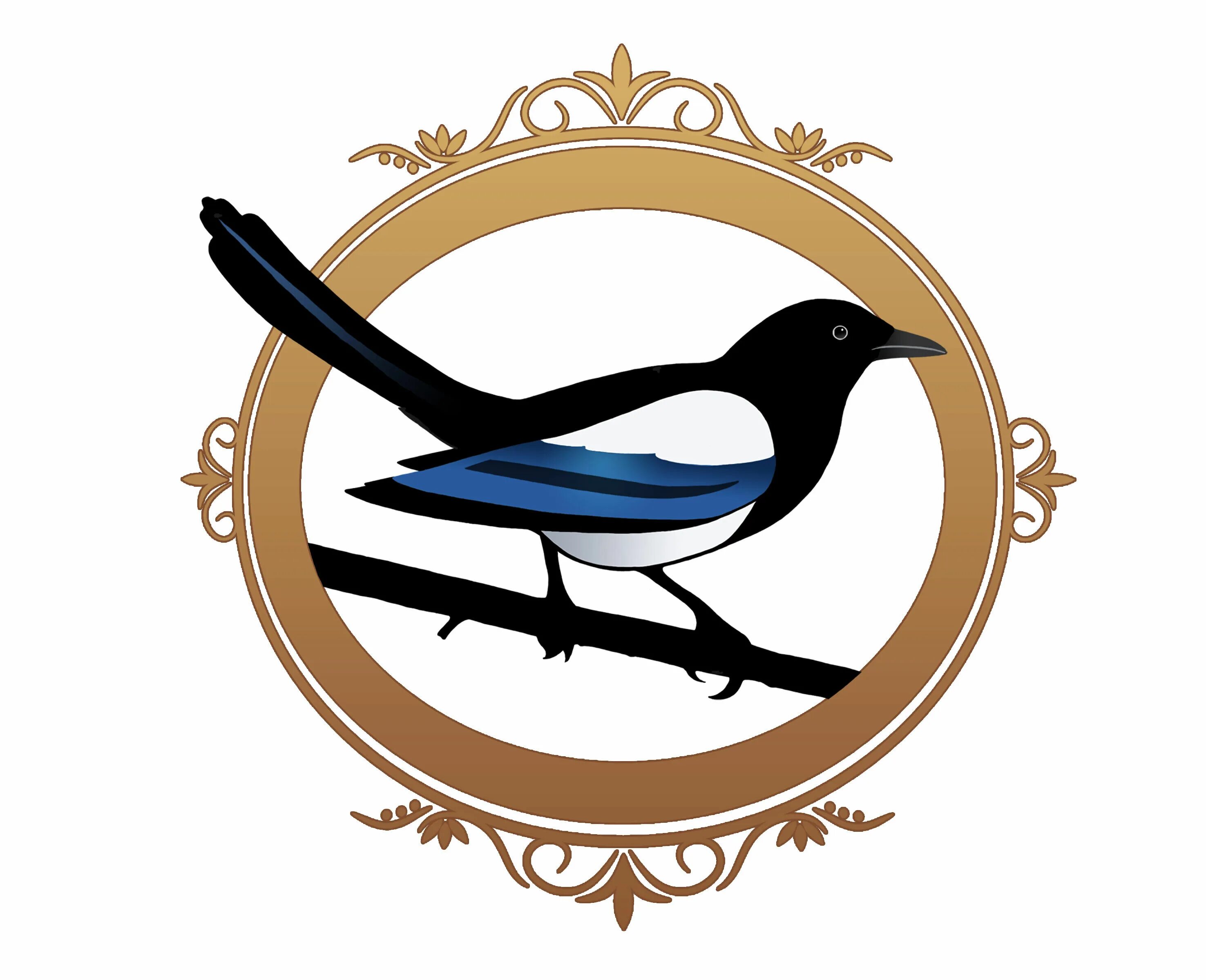 Райская птица на гербе. Эмблема птицы. Логотипы с изображением птиц. Сорока рисунок. Изображение птиц в круге.