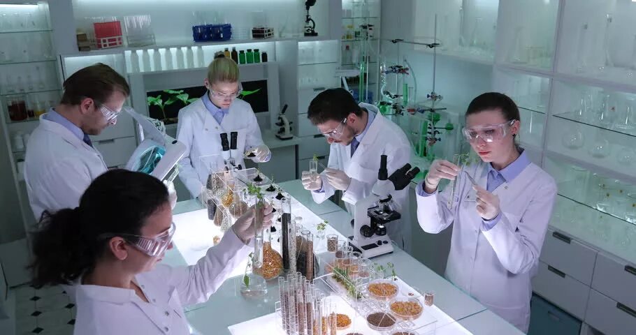 Научные достижения в области биотехнологий. Тимирязевская Академия биотехнология. Современные биотехнологии. Биотехнология пищевых продуктов. Лаборатория биотехнологии.