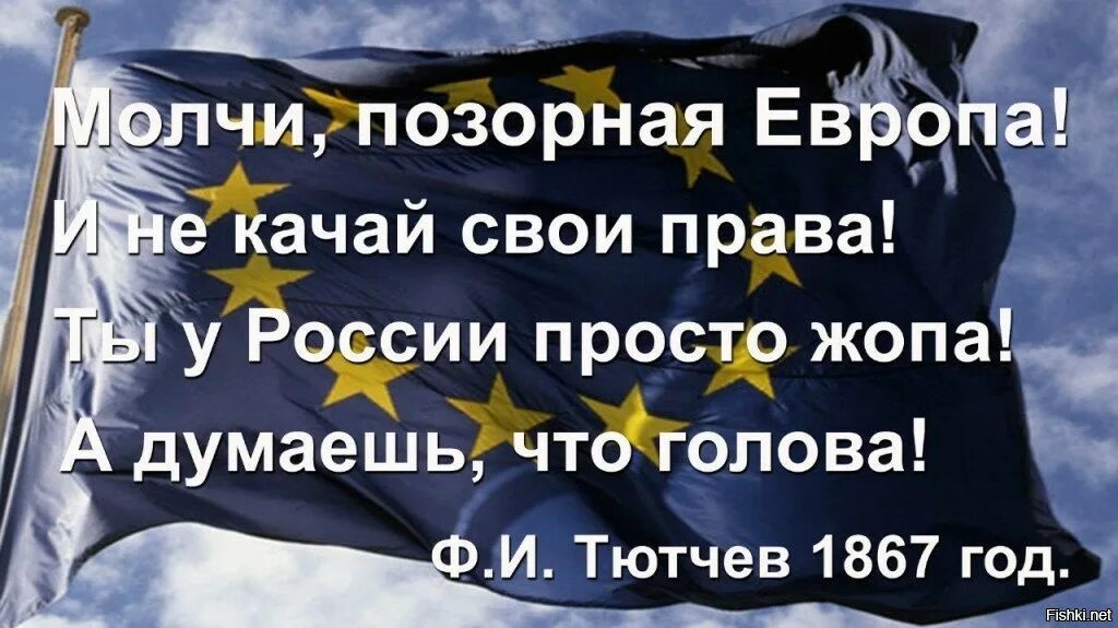 Стихи про Европу позорные. Стих про Европу. Молчи позорная Европа и не. Тютчев о Европе стихи молчи позорная Европа.