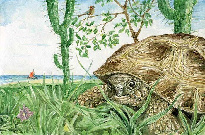 Басня л н толстого черепаха. Лев николаевич толстой черепаха. сказка черепаха толстой. черепаха л толстой. толстой черепаха и русак.