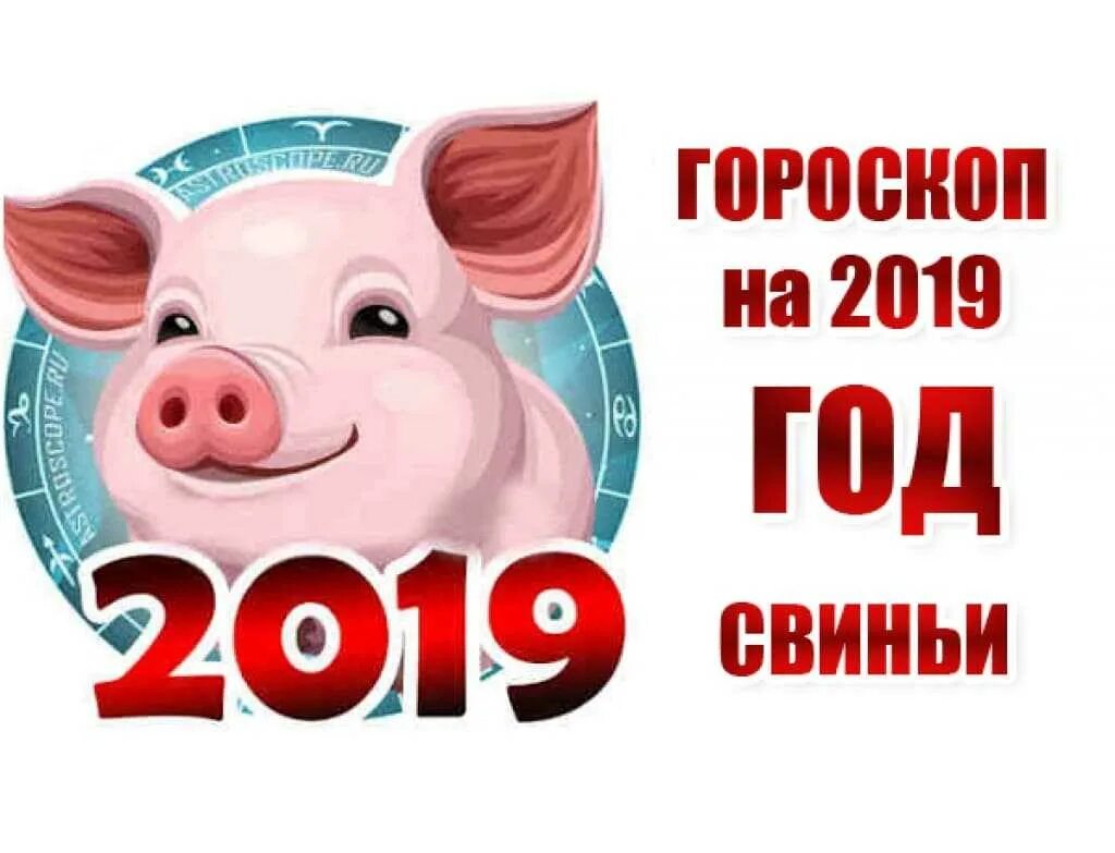 Свинья овен. Год свиньи 2019. год свиньи гороскоп. 2019 свинья. 2019 год знак зодиака.