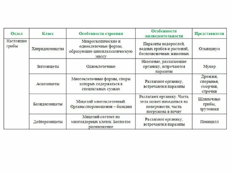 Отделы грибов таблица 7 класс биология. Отделы грибов 7 класс биология. Таблица по биологии 7 класс отделы грибов. Классификация отделов царства грибов. Характеристика грибов 7 класс биология