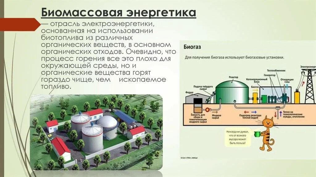 Сообщение на тему промышленная биоэнергетика с примерами Использование отходов лесной промышленности для получения биотоплива найдено 8