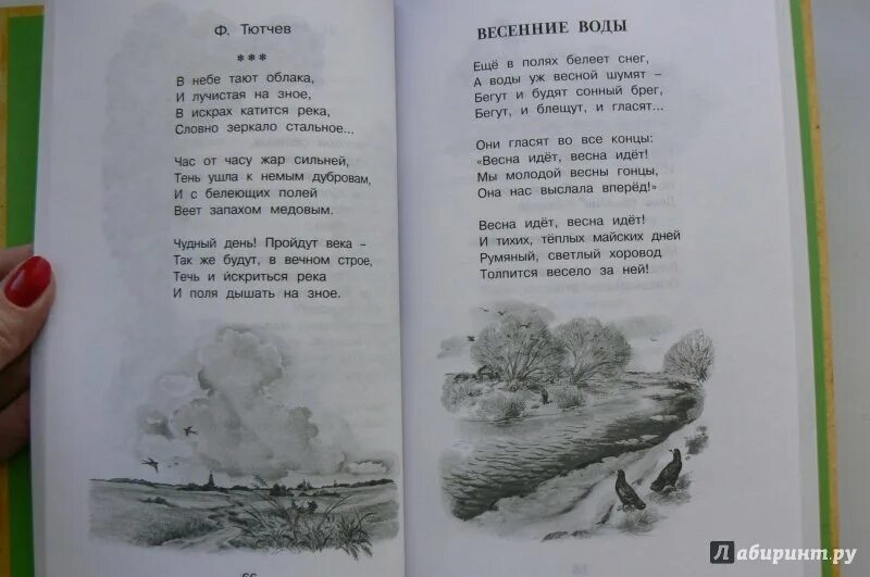 Тютчев стихи 3 класс. В небе тают облака Тютчев. Стихотворение в небе тают облака Тютчев. Стих тучи Тютчев. Стихотворения ф. и. Тютчева «в небе тают облака…».