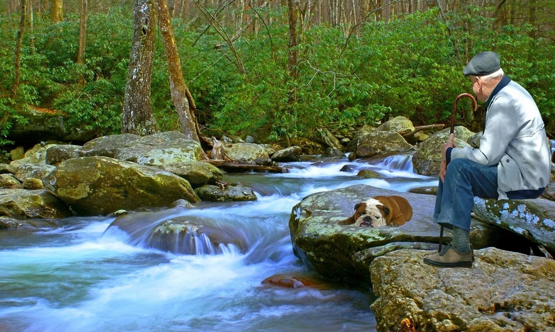Выпив родниковой воды усталые путники. Человек у ручья. Парень у ручья. Человек в лесу у реки. Ручей по камням.