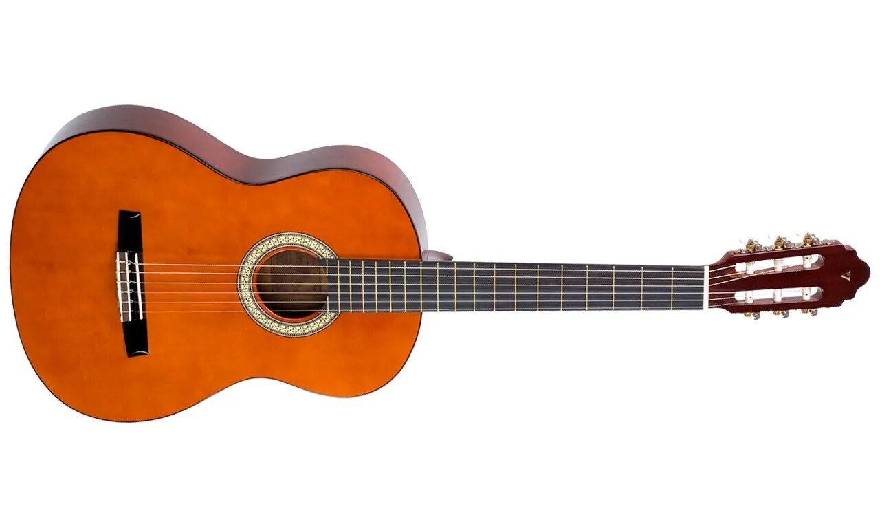 Гриф гитары сбоку. Гитара визион классик 10. Акустическая гитара tenson d10. Vision classic one гитара классическая. Epiphone dr 220.