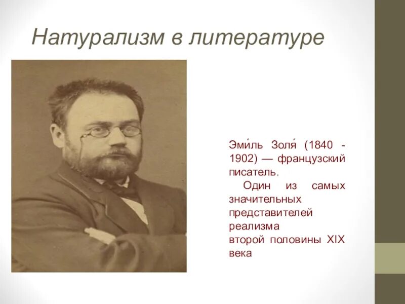 Натурализм в литературе 19 века. Натурализм в литературе 19 века. Теория натурализма. Произведения натурализма. Представители натурализма в философии.