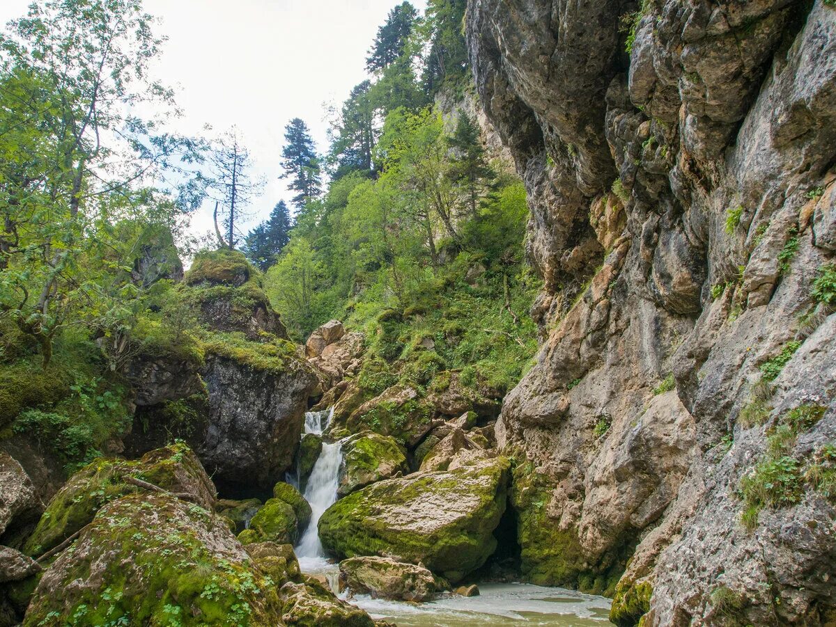 Погода в курджипской