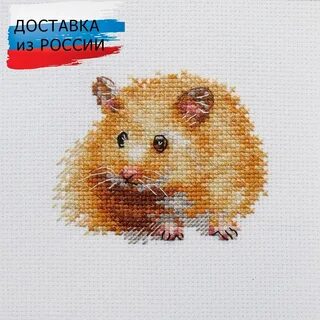 Хомяк 9 июля шмфр