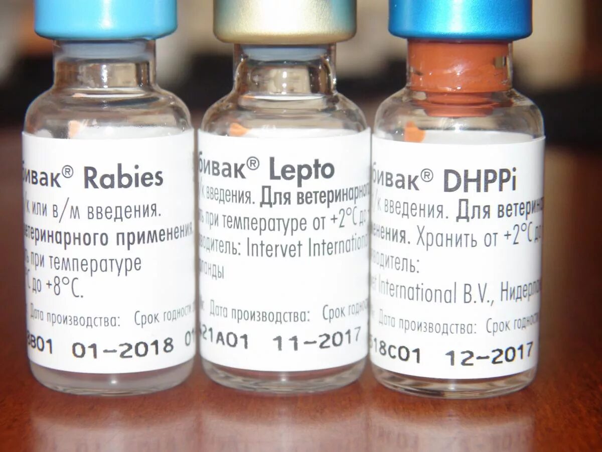Вакцина rabies. Нобивак DHPPI l4 Rabies. Нобивак DHPPI RL для собак. Вакцина Нобивак DHPPI И Lepto. Вакцины для собак Нобивак DHPPI+Lepto+Rabies.