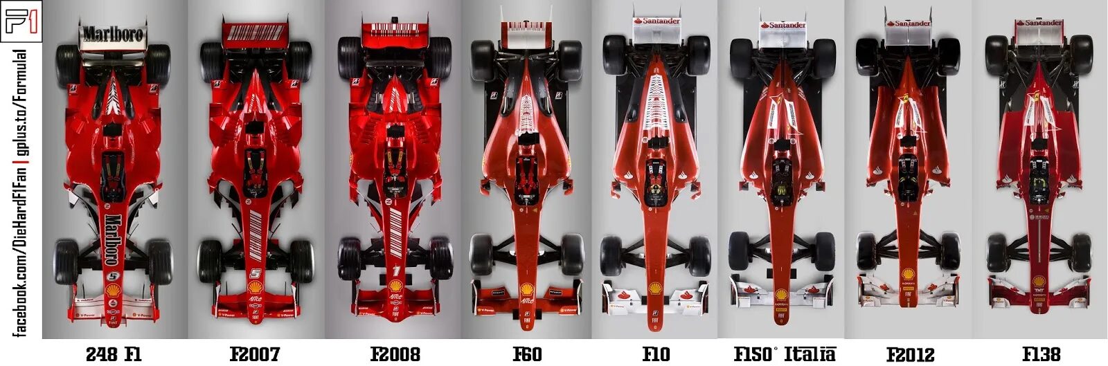 F a v 1 8