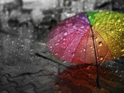 Rain day