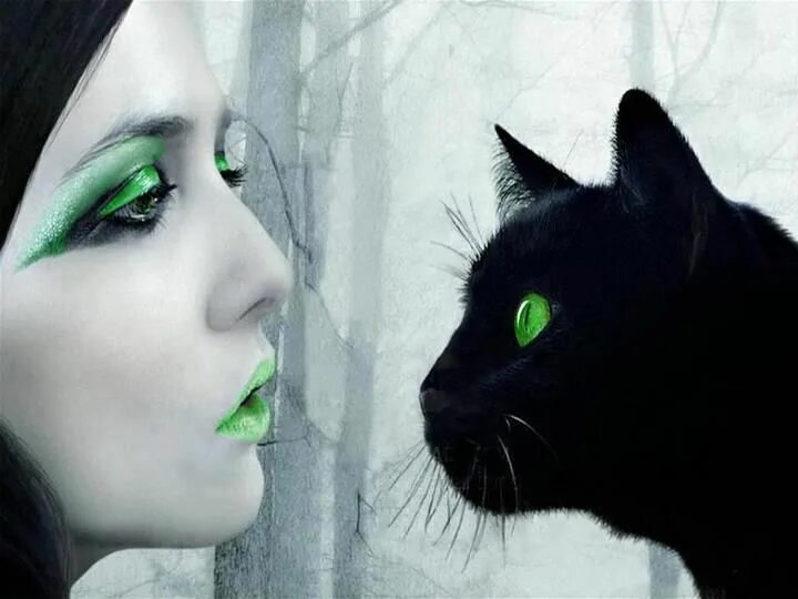 Черный кот и девочка. Девушка кошка. Девушка с черной кошкой. Красивая девушка с котом. Девушка с черным котом.