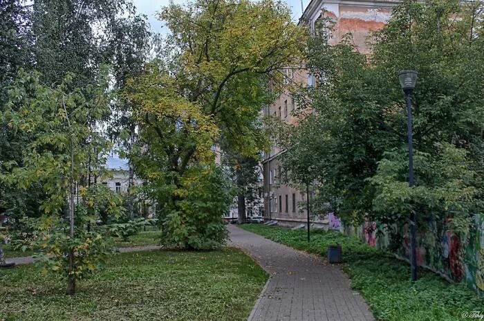 Черный пруд нижний. Черный пруд нижний