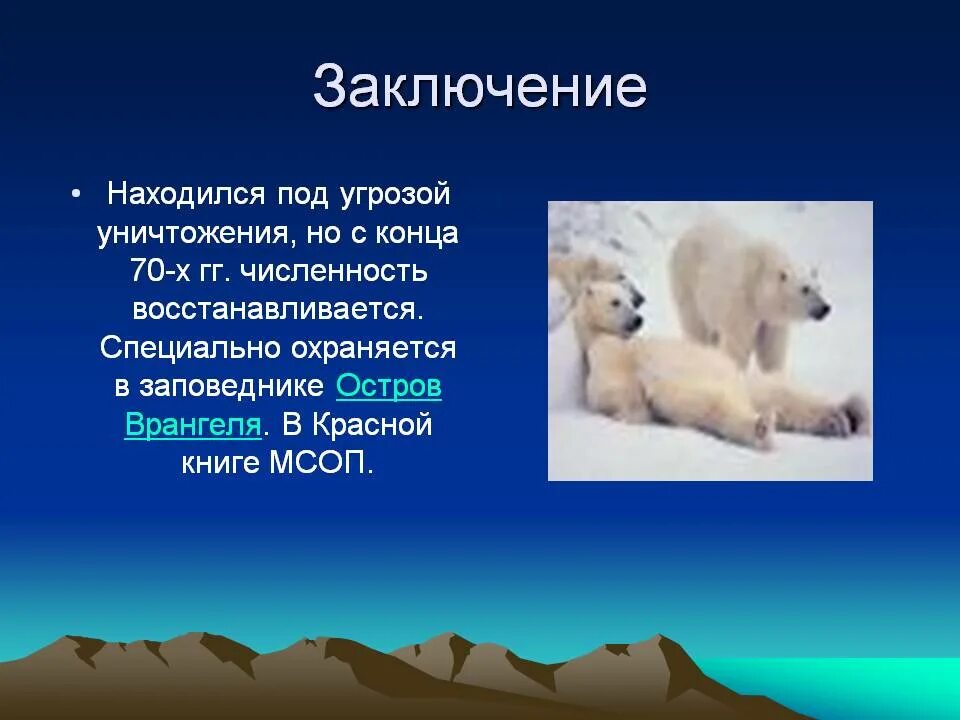 Белый медведь презентация. Белый медведьпрезитация. Презентация на тему белый медведь. Сообщение о белом медведе.