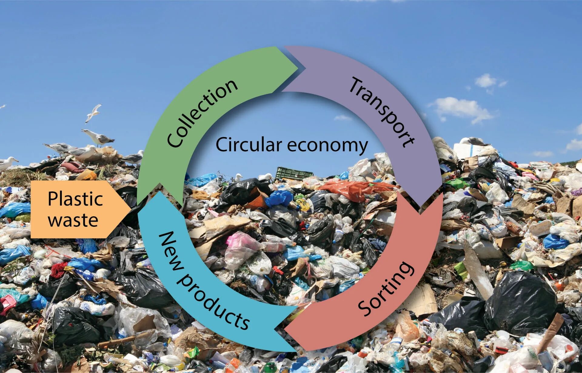 Economy wasted. Экономика замкнутого цикла. Economy wasted. Household and industrial waste. Circular and linear economy.