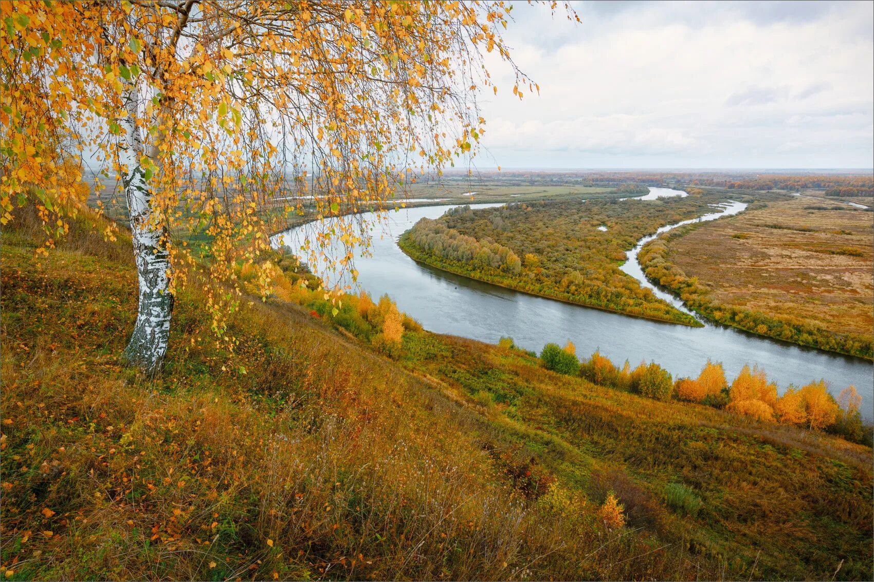 Родной край осенью. Река Клязьма в Вязниках. Венец Вязники река. Речка Клязьма в Вязники. Золотая осень Константиново.