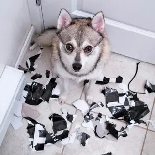 Прикольная эстетика