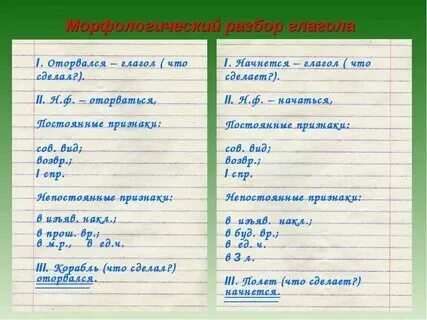 Удивительное под цифрой 3 разбор. Удивительное под цифрой 3 разбор