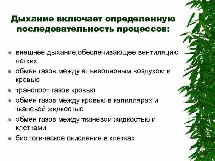 Дыхание порядок процессов. Вдох последовательность процессов. Последовательность процессов при вдохе. Последовательность процессов дыхания у человека. Последовательность этапов процесса дыхания