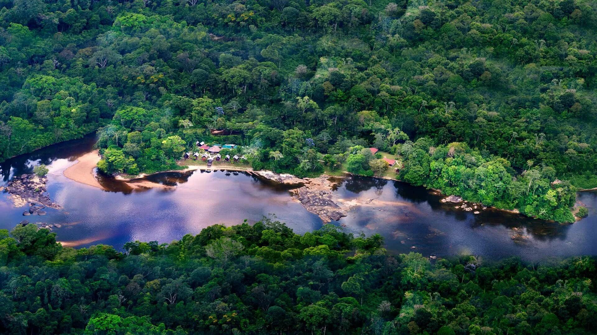 Река на юге страны. Парк гвианская Амазония. Природный резерват центрального Суринама. Природный резерват гвианская Амазония. Река Амазонка в Колумбии.