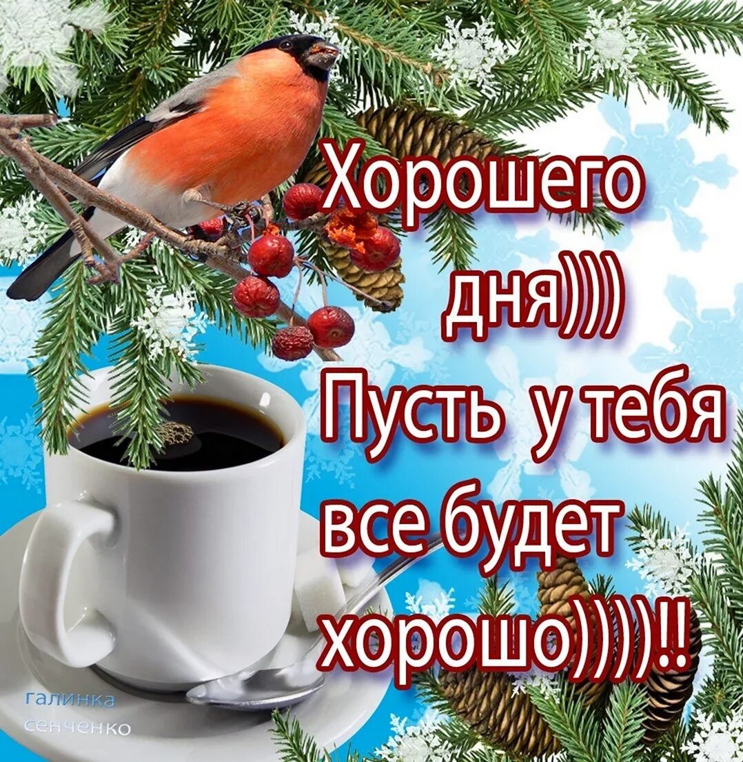 Самого лучшего дня зимнего настроения. Доброго зимнего утра и хорошего дня. доброе утро зимнее хорошего дея. пожелания с добрым утром зимние. поделания доброго зимнего утра.