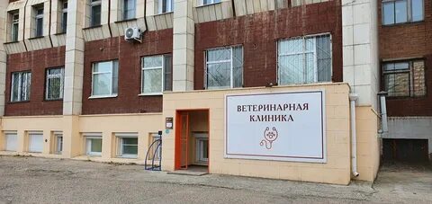 Ветклиника чита