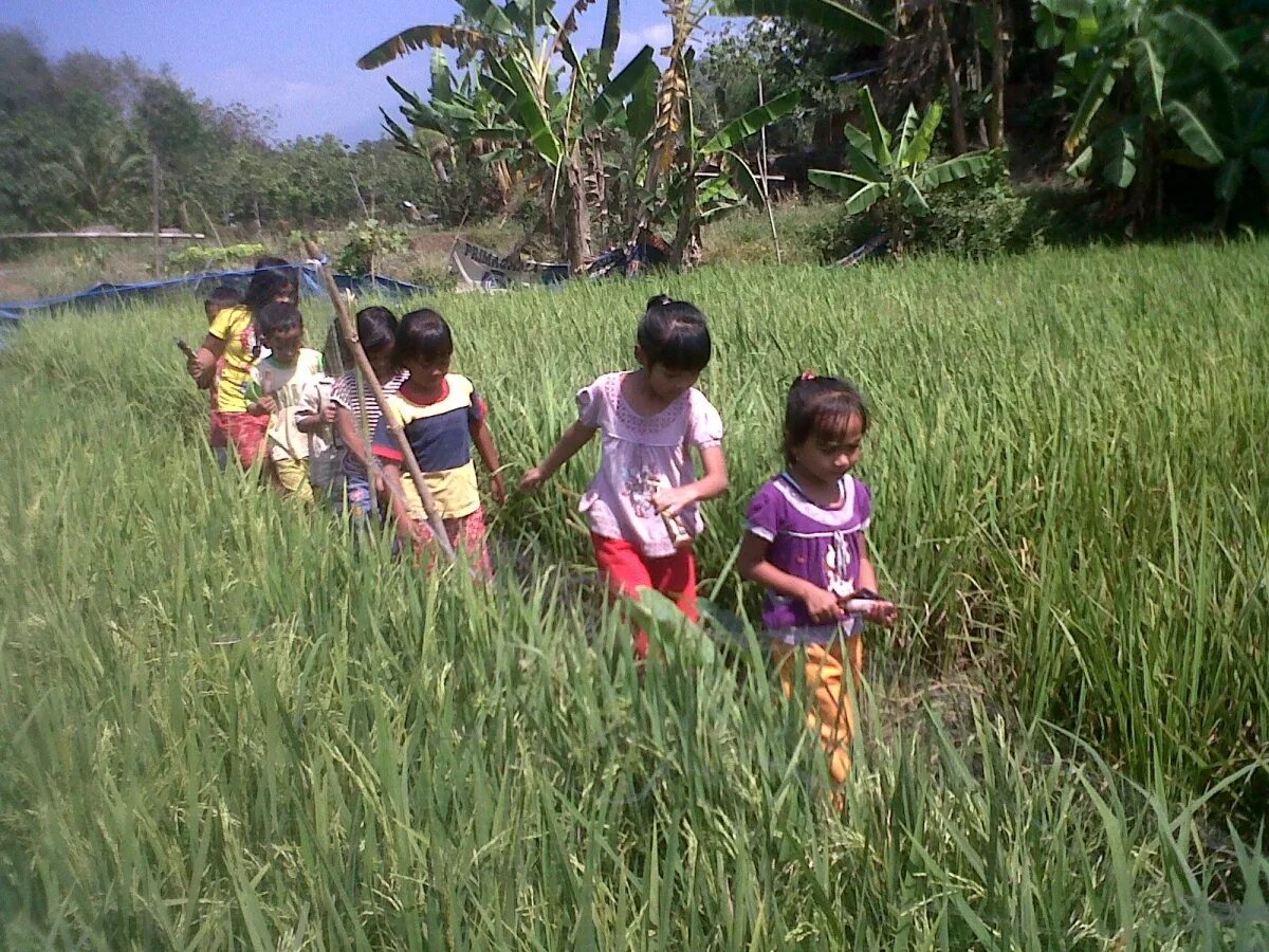 Anak smp. Педомом мальчик индонезия. Rok anak sd. Bf anak anak. Педомом мальчик индонезия.