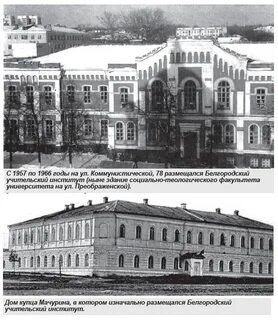 Учительский институт