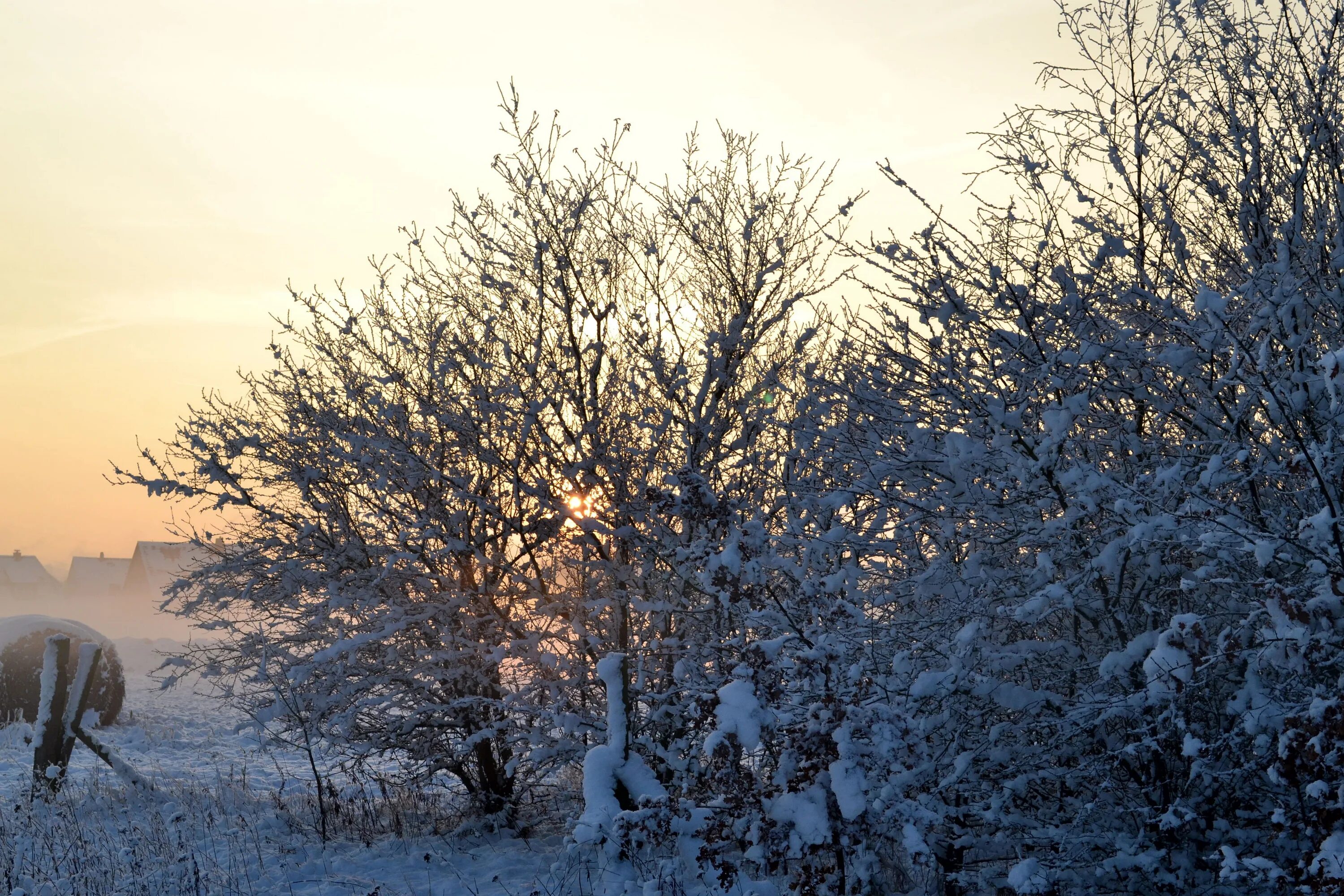 Холодный пейзаж. Холодная зима. Зимняя стужа. Холодная зима фото. Cold and snowy