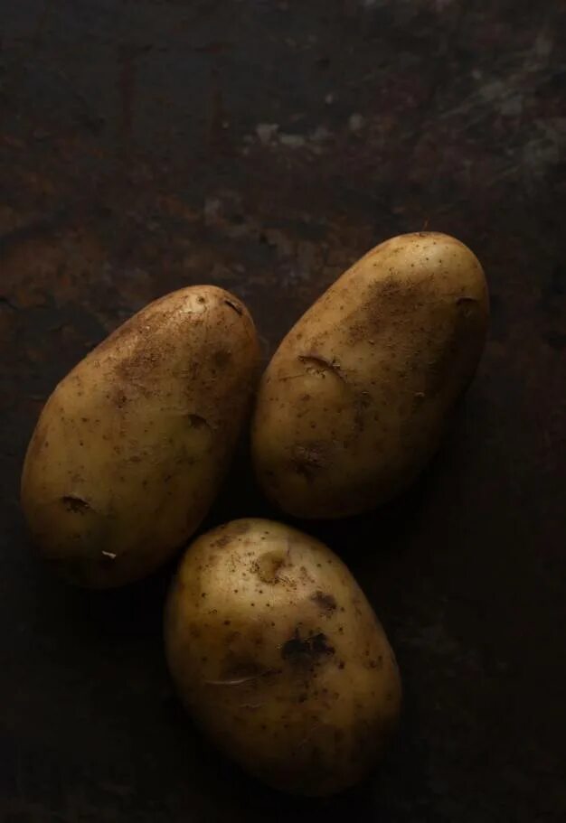 Вектор картофель характеристика. Картошка сорт вектор. Мелкая картошка вектор. Картофель вектор описание сорта.