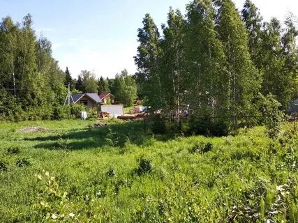 Крючково истра