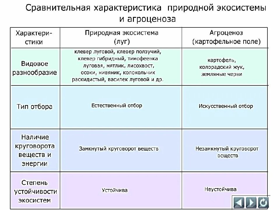 Признаки естественной экосистемы. Сравнительная характеристика биогеоценоза и агроценоза таблица. Критерии сравнения биогеоценоза и агроценоза таблица. Общие признаки характеризующие природную и искусственную экосистему. Естественные и искусственные экосистемы.