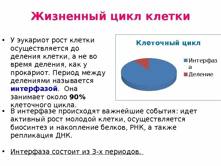 Период роста клетки. Период роста клетки. Схема стадий жизненного цикла клетки. Период роста клетки. Период роста клетки.