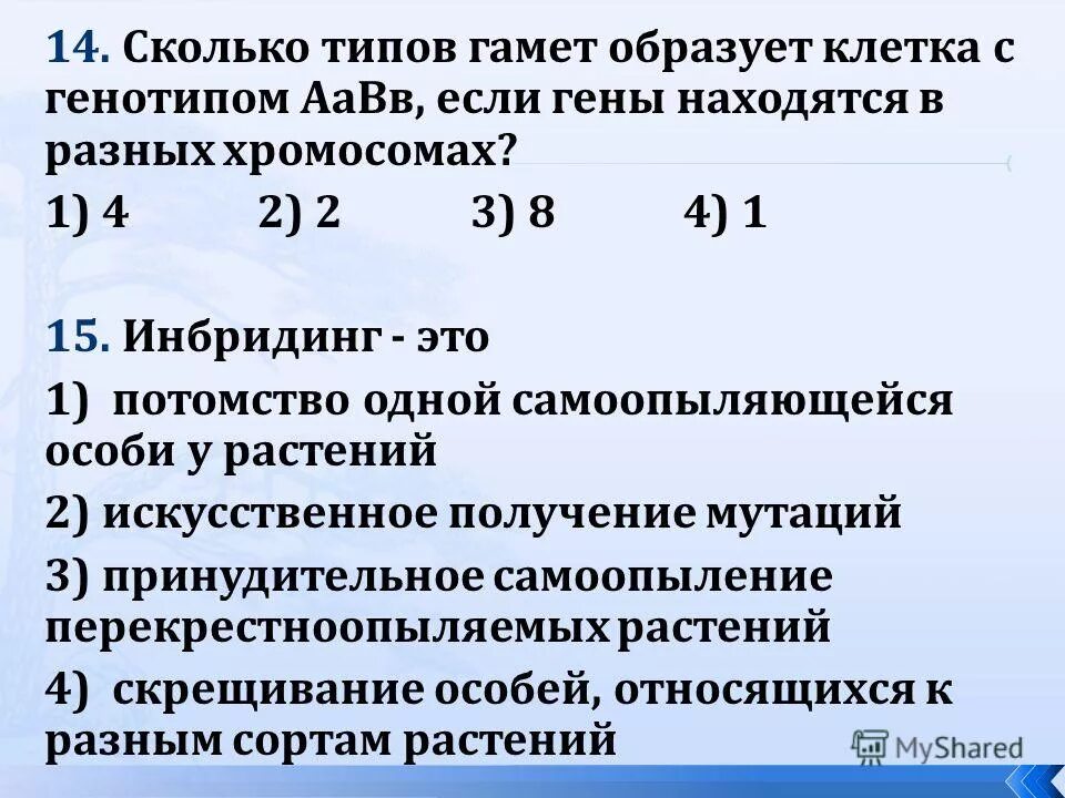 Какие типы гамет образуют организмы с генотипом