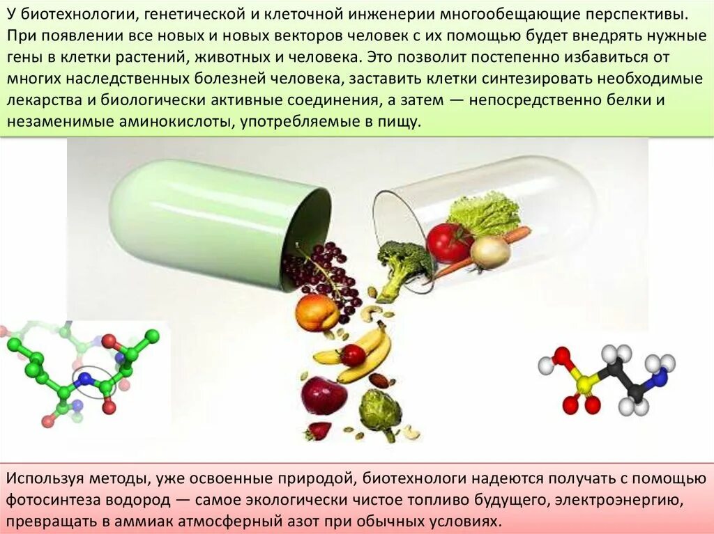 Биотехнология суть. Генная инженерия в биотехнологии. Генная инженерия в биотехнологии методы. Методы клеточной инженерии в биотехнологии. Биотехнология генная инженерия клеточная инженерия.