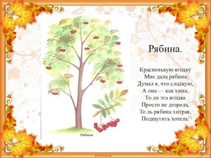 Дерево четверостишие