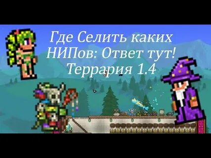 Кулек terraria