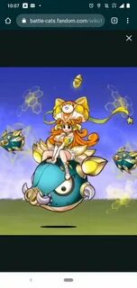 Kai cat