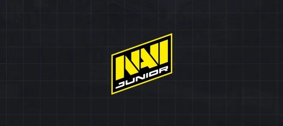 Ава нави. Логотип нави. Ведущая нави джуниор. Navi jr. Navi jr.