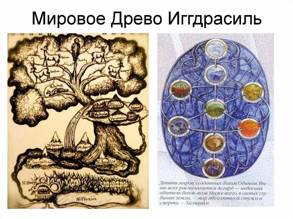 миры иггдрасиля. миры иггдрасиля. иггдрасиль мировое древо и 9 миров. миры иггдрасиля. иггдрасиль мировое древо и 9 миров.