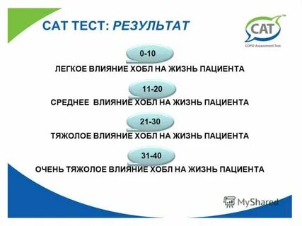Тест сат