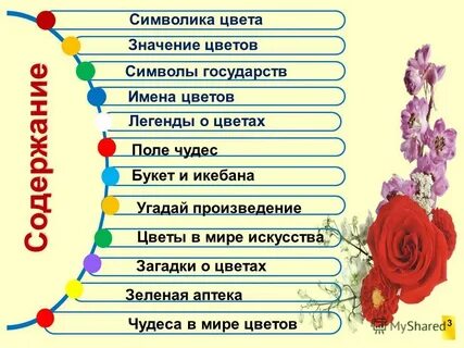 Тон имя