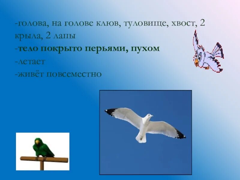 Два крыла ответ. У кого 2 руки 2 крыла 2 хвоста 3 головы 3 туловища и 8 ног. две руки два крыла два хвоста три головы три туловища и восемь ног. тело покрыто перьями имеет 2 ноги 2 крыла. тело покрыто перьями две ноги большинство летает.